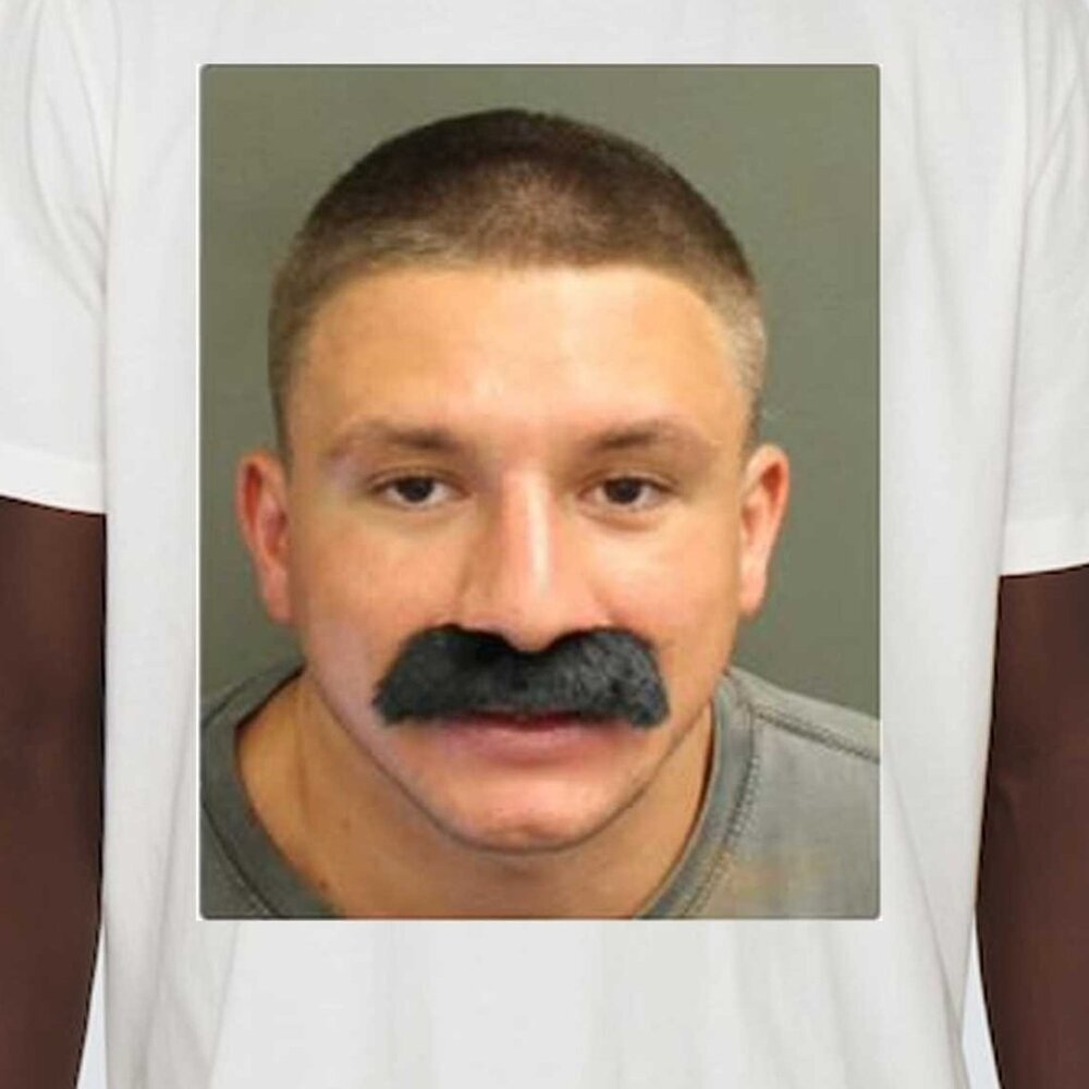 Stevewilldoit Stephen Rocco Mugshot Graphic T-Shirt Meme Humor Casual Tee 159 - Picture 2 of 5